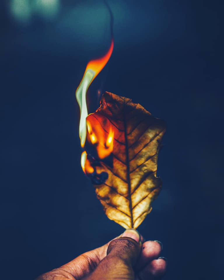 106028456_2021012441362325_3274360305815504942_n