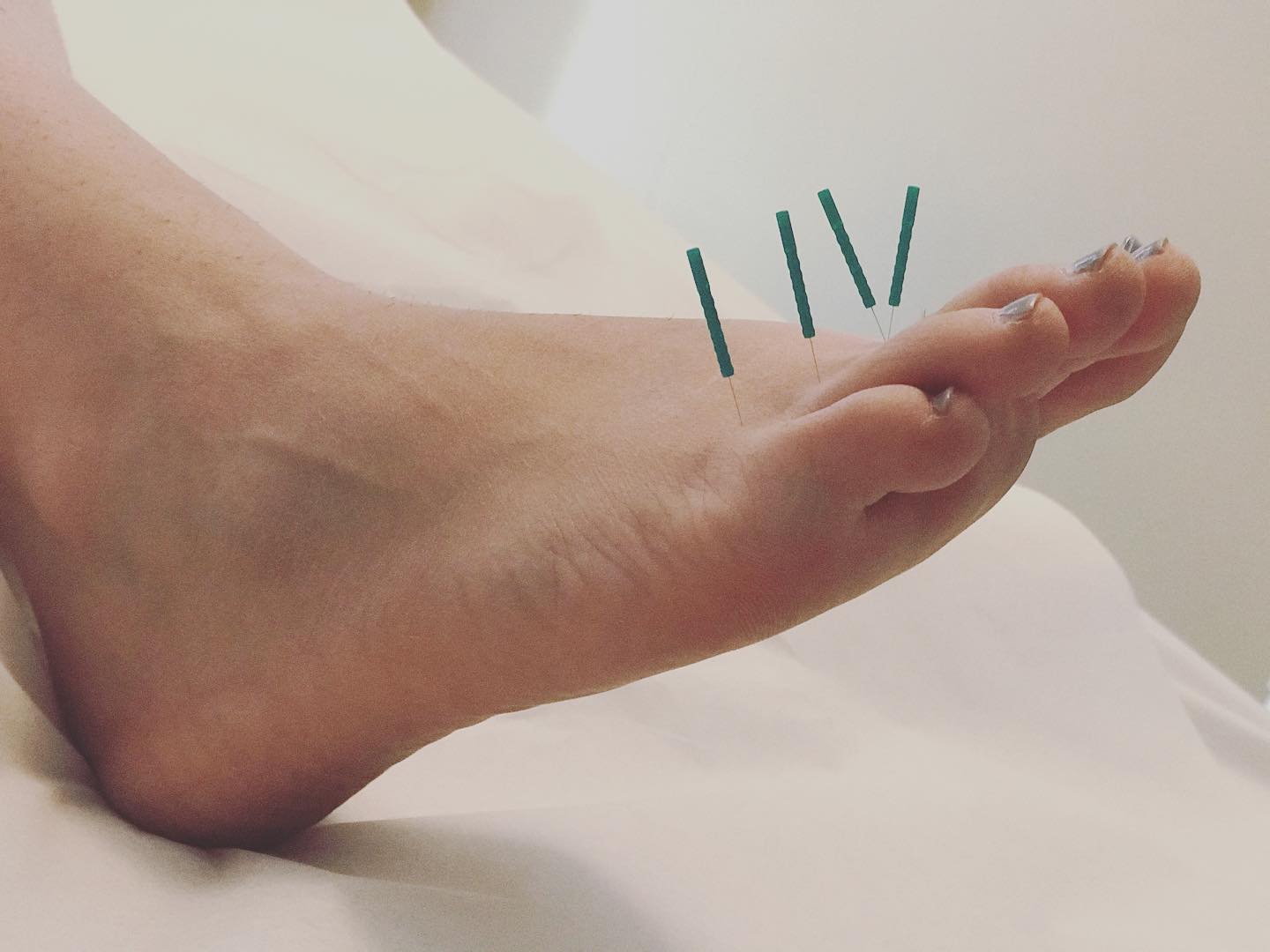 115855387_2052474808216088_1701436714341300992_o